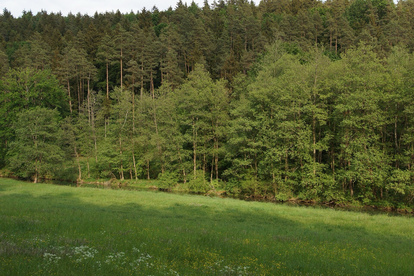Lauterachtal Landschaft