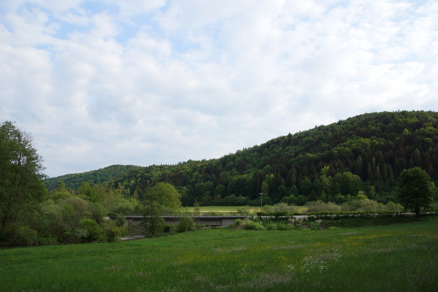 Wiesen und Wald rund um Lauterhofen