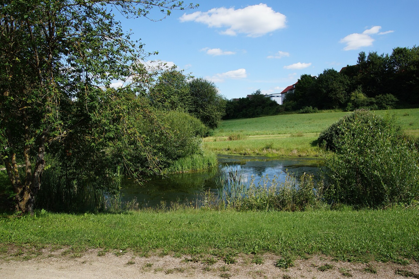 Weiher im Lauterachtal